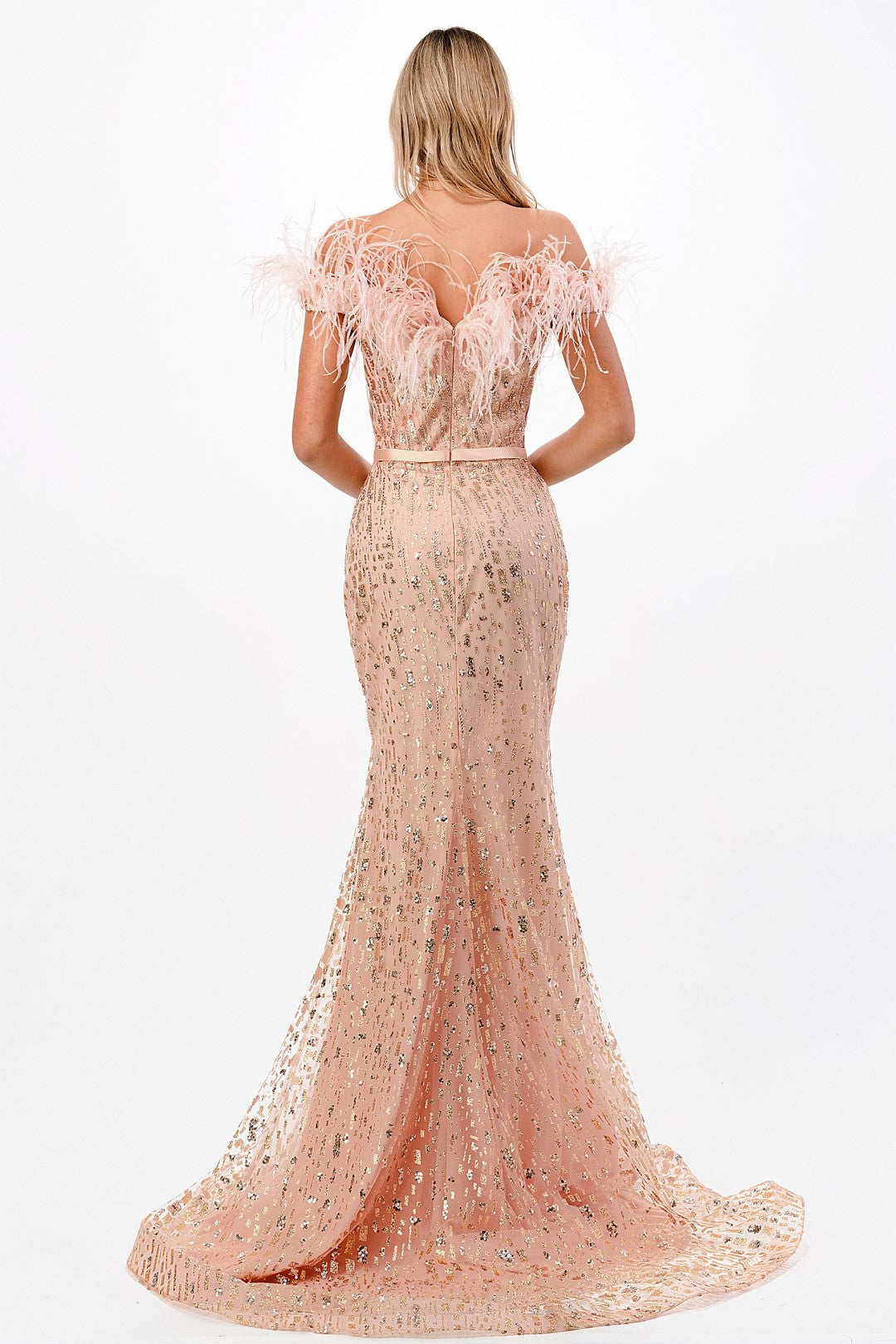 The Jenien Feather Off Shoulder Gown