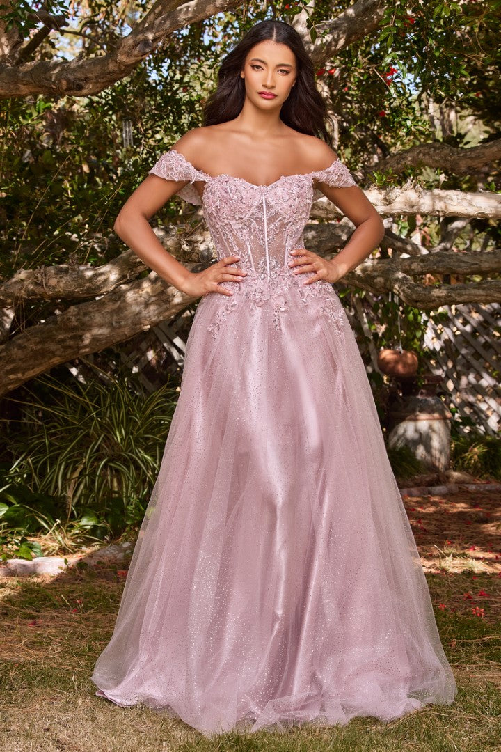 The Emerald Applique Off Shoulder Tulle Gown