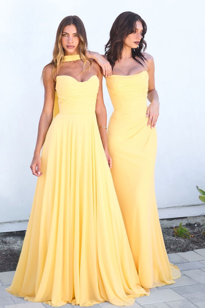 The Maeve Chiffon Fitted Long Strapless Dress by Ladivine T702