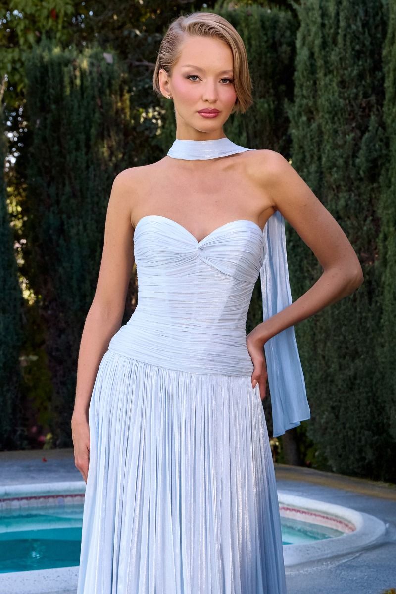 The Serenella Chiffon Strapless A-line Gown by Ladivine CD414